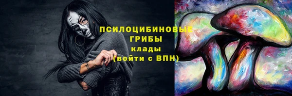 ПСИЛОЦИБИНОВЫЕ ГРИБЫ Алзамай