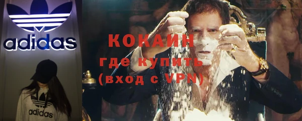 ПСИЛОЦИБИНОВЫЕ ГРИБЫ Алзамай