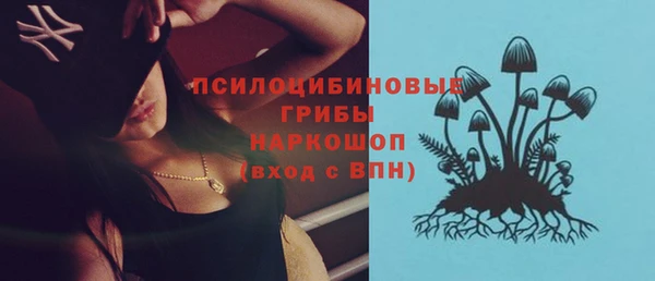 ПСИЛОЦИБИНОВЫЕ ГРИБЫ Алексин